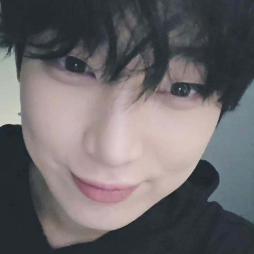 ENHYPEN 팬이 찍은 순간