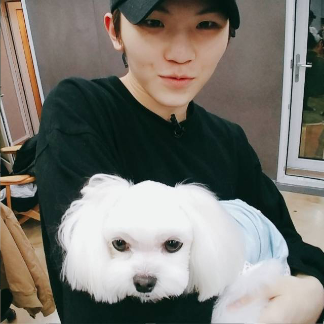 Latest photo of Woozi (SEVENTEEN)