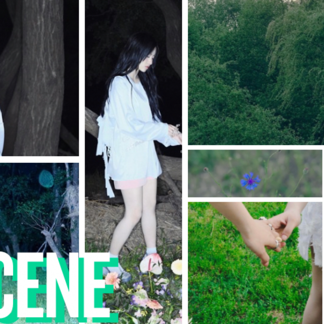 Recent activity shot of Liv (RESCENE)