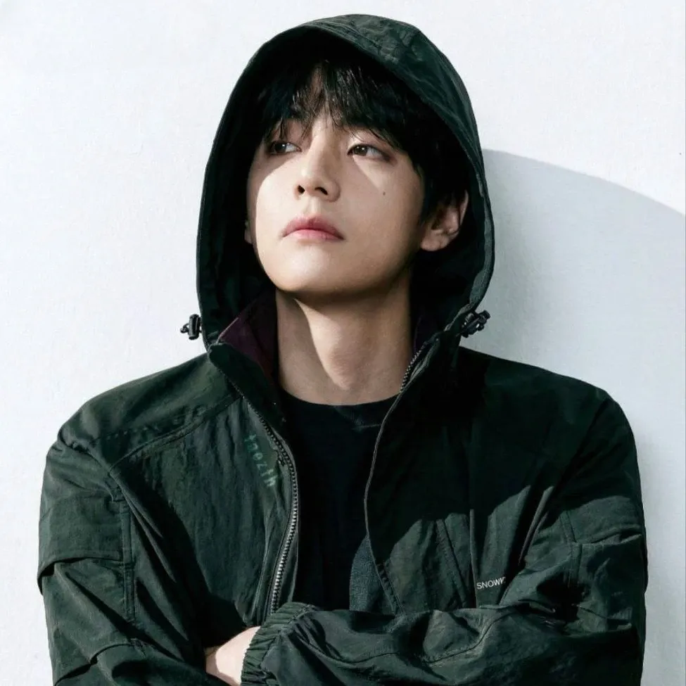 V (BTS)ファンが撮った瞬間