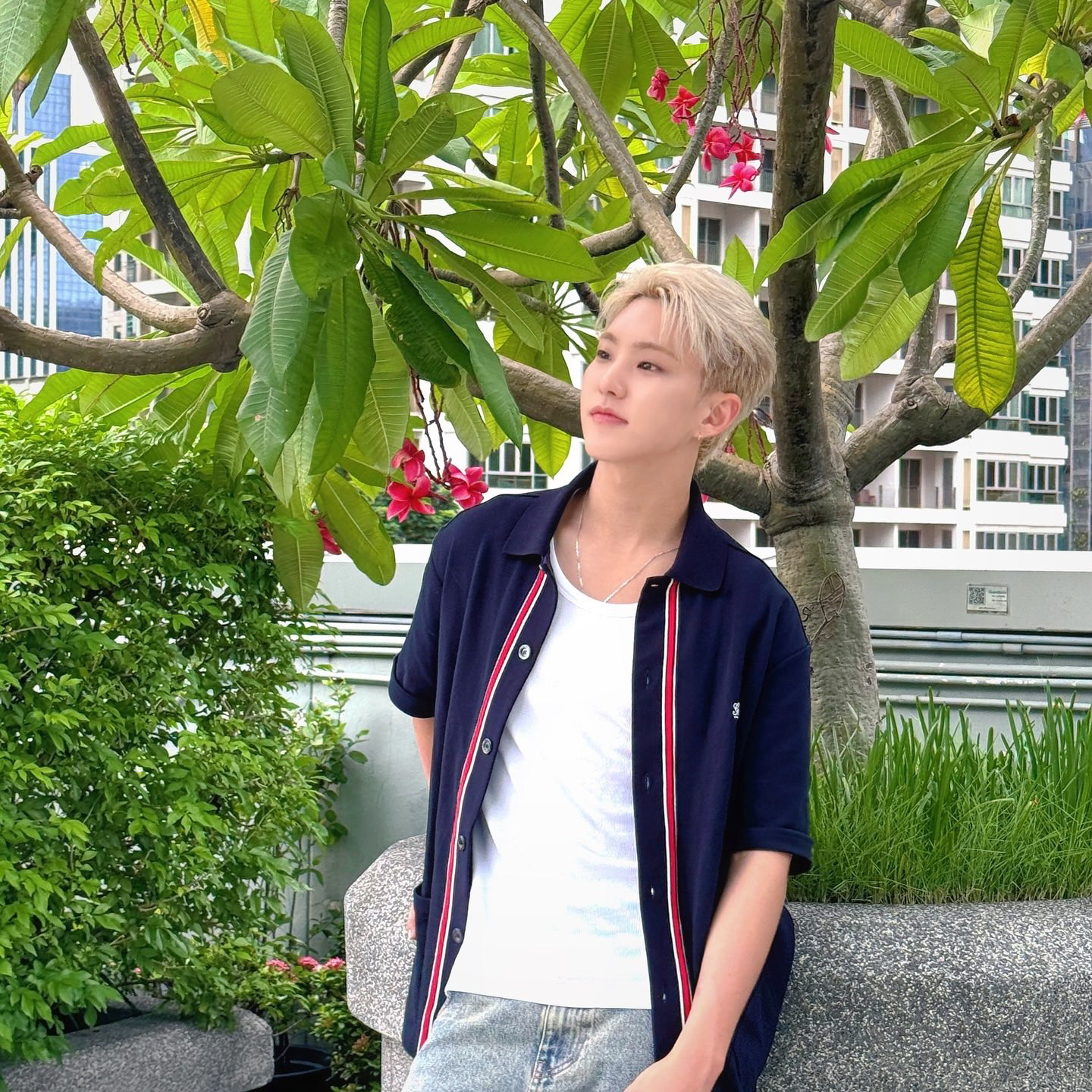 세븐틴 팬이 찍은 순간