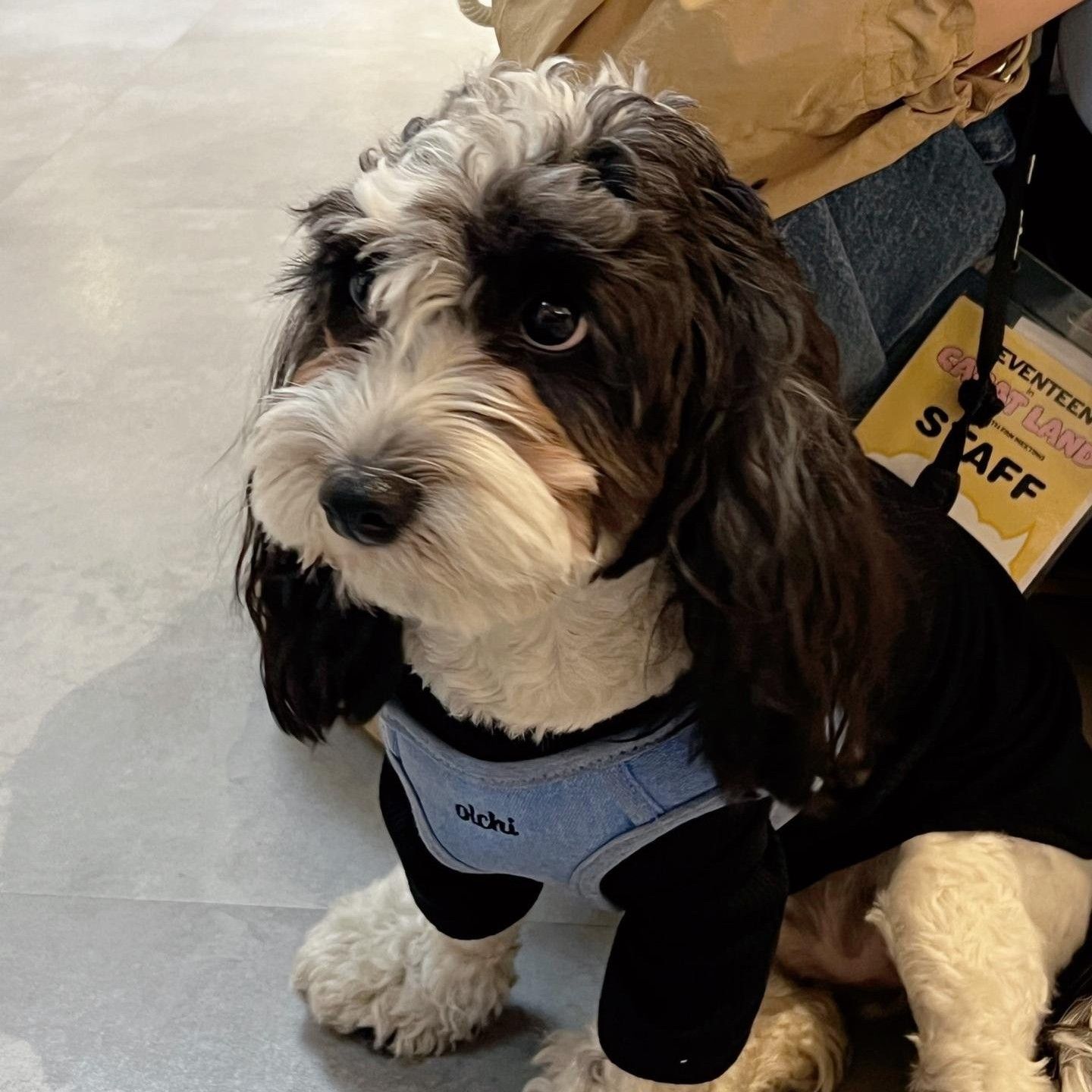 Behind-the-scenes cut of SEVENTEEN