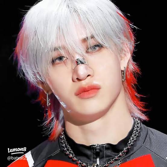 方燦 (Stray Kids)粉絲拍下的瞬間