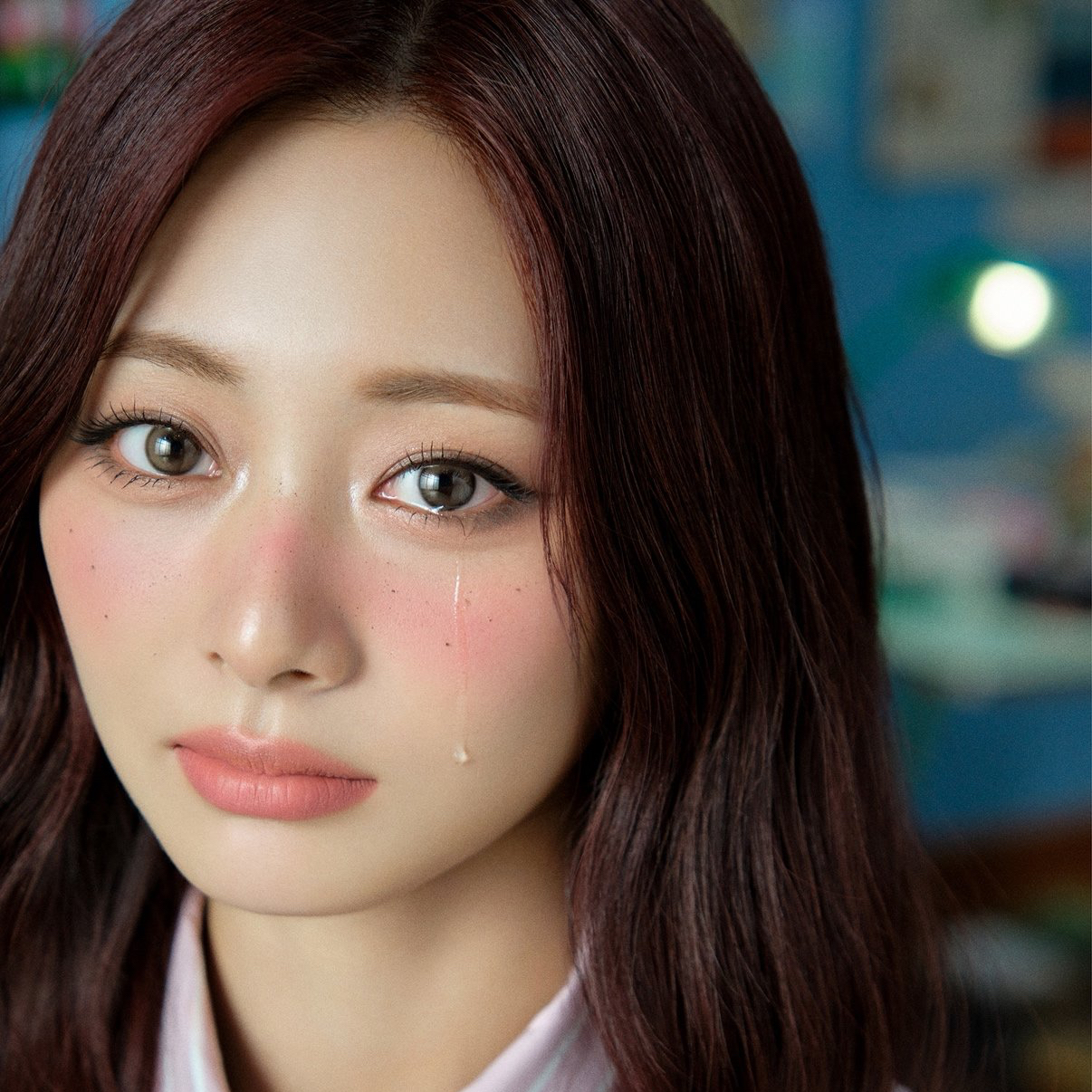 쯔위 (TWICE) 팬이 찍은 순간