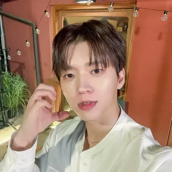 투표로 선정된 남우현 (인피니트)의 인기 프로필 이미지
