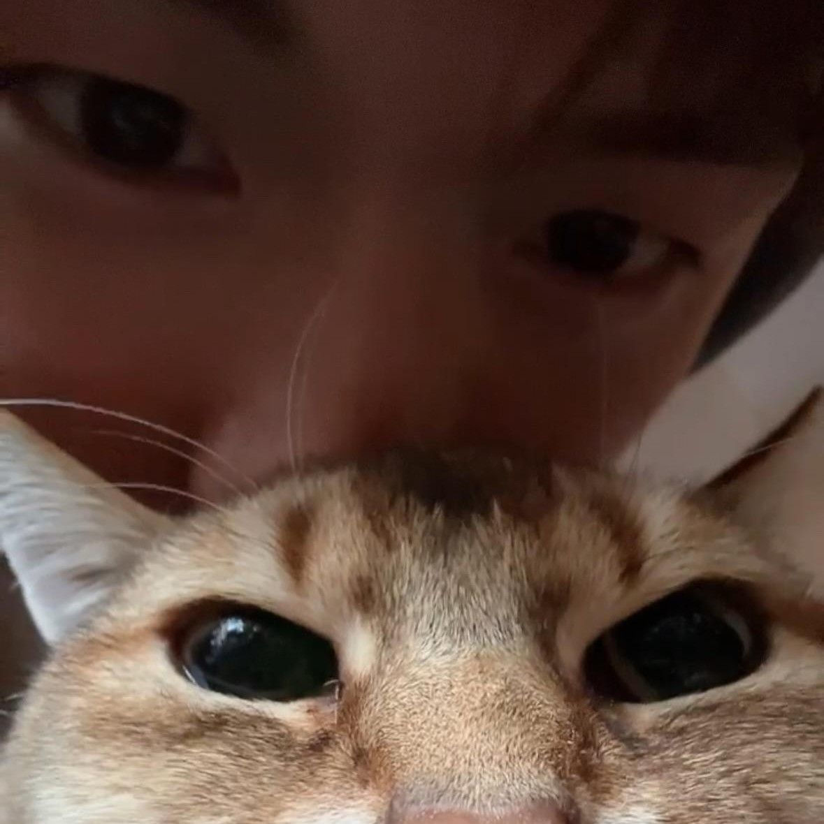 Momen yang diabadikan oleh penggemar Kang Daniel