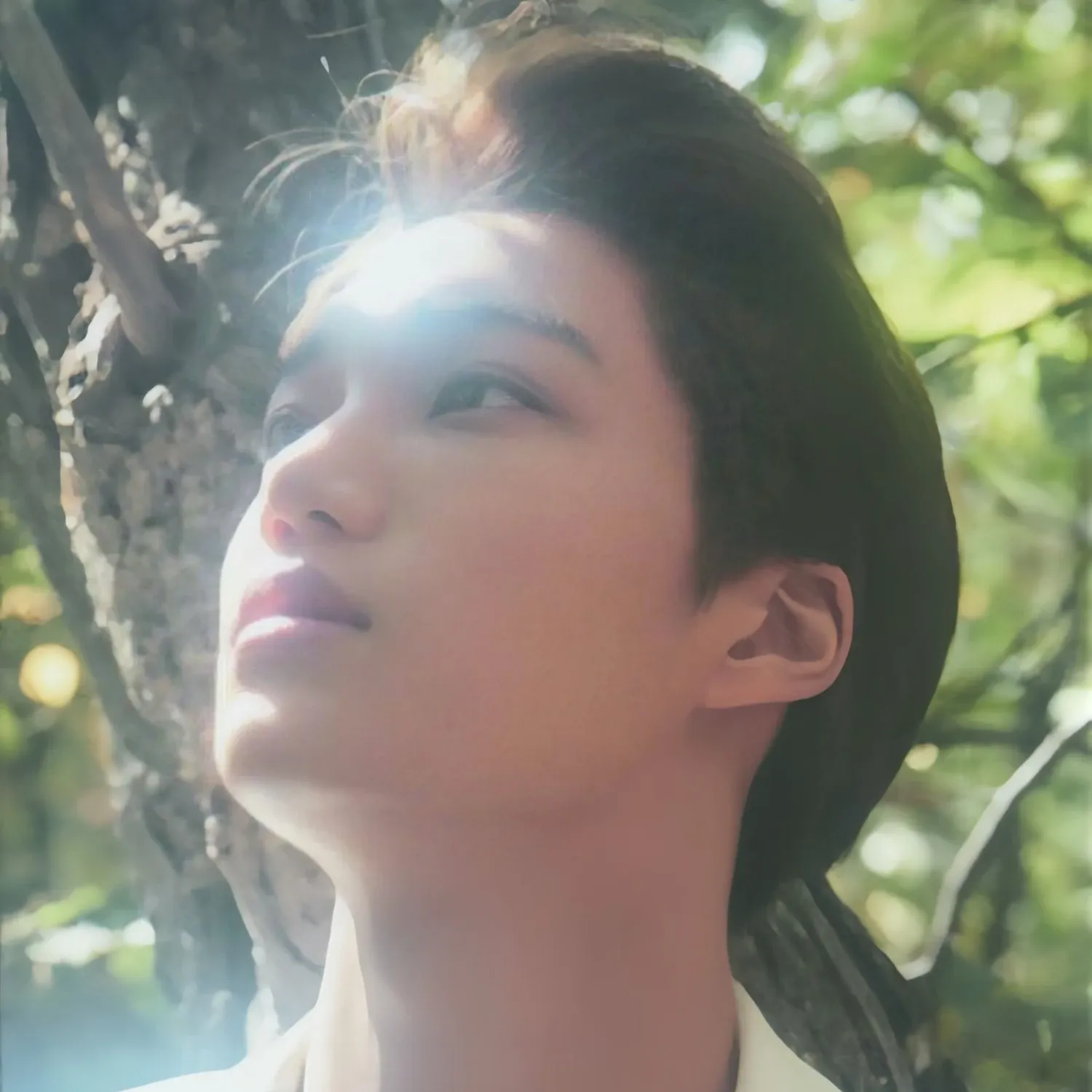 Foto aktivitas terbaru EXO