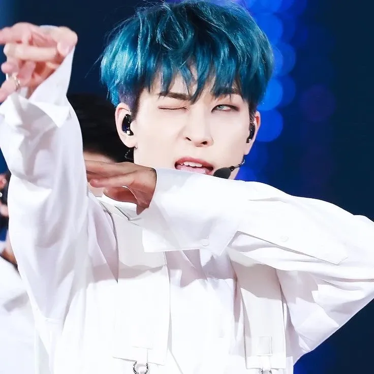 Recent activity shot of Wonwoo (SEVENTEEN)