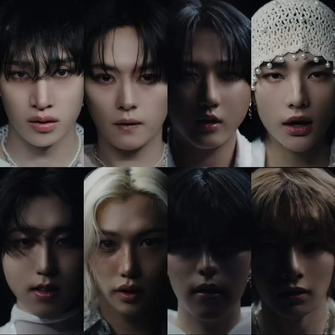 Stray Kids 팬이 찍은 순간