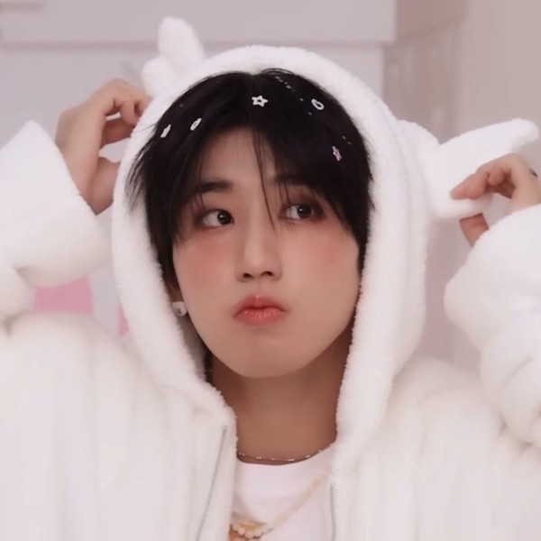 Best moment chosen by HAN (Stray Kids) fandom