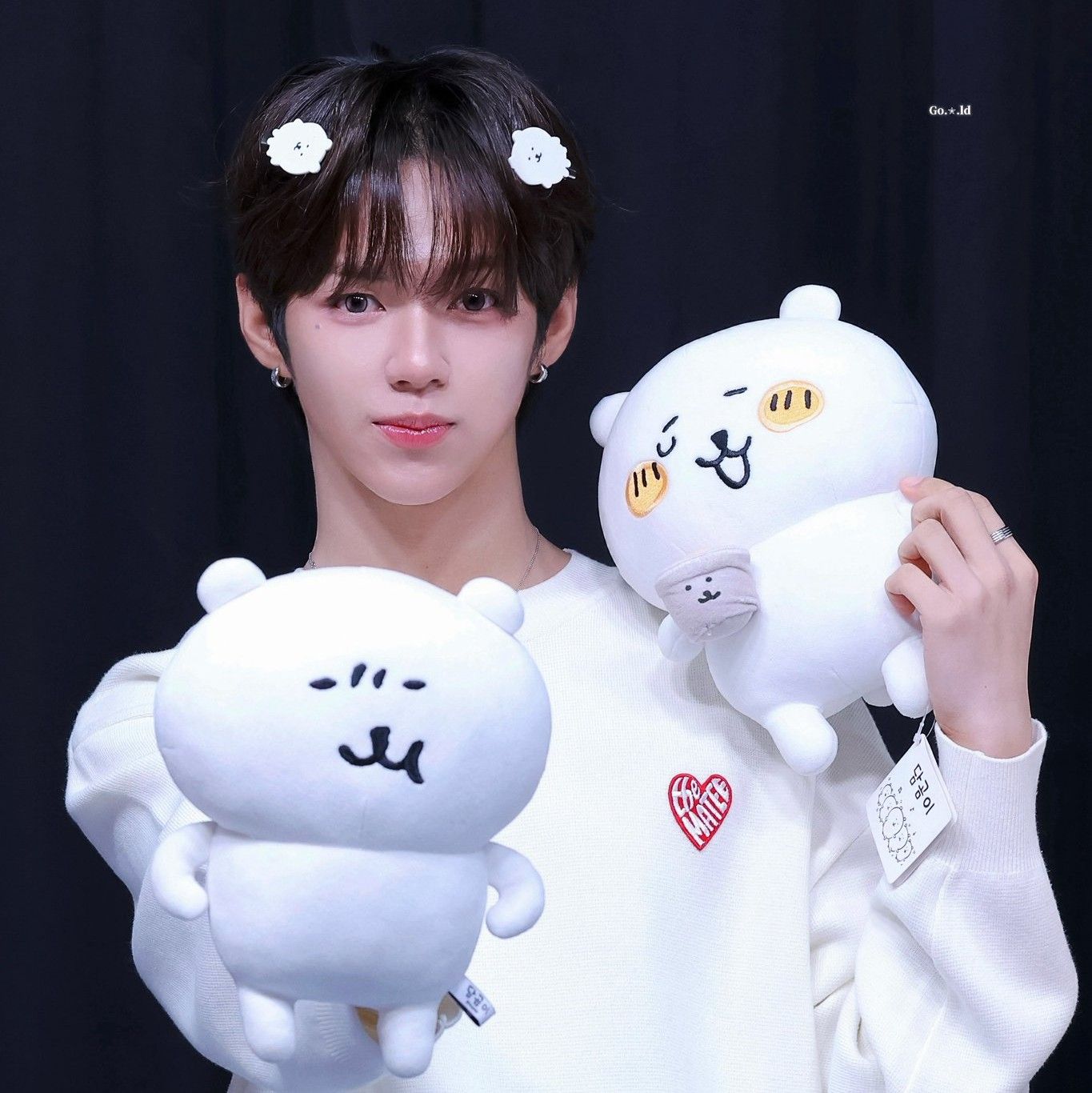 ジェイエル (AHOF)ファンが撮った瞬間