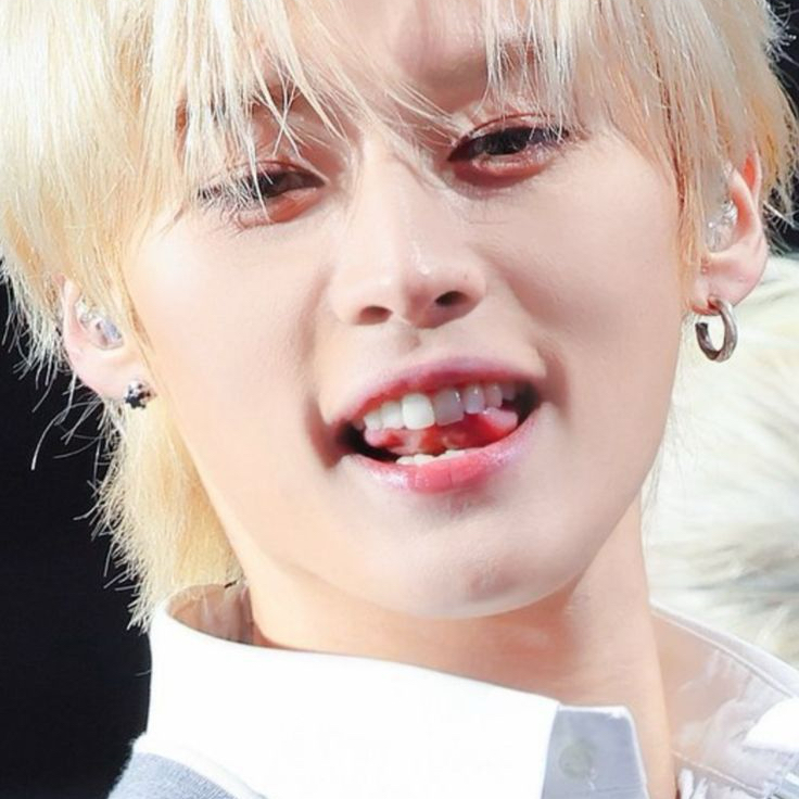 Stray Kids 최근 활동샷