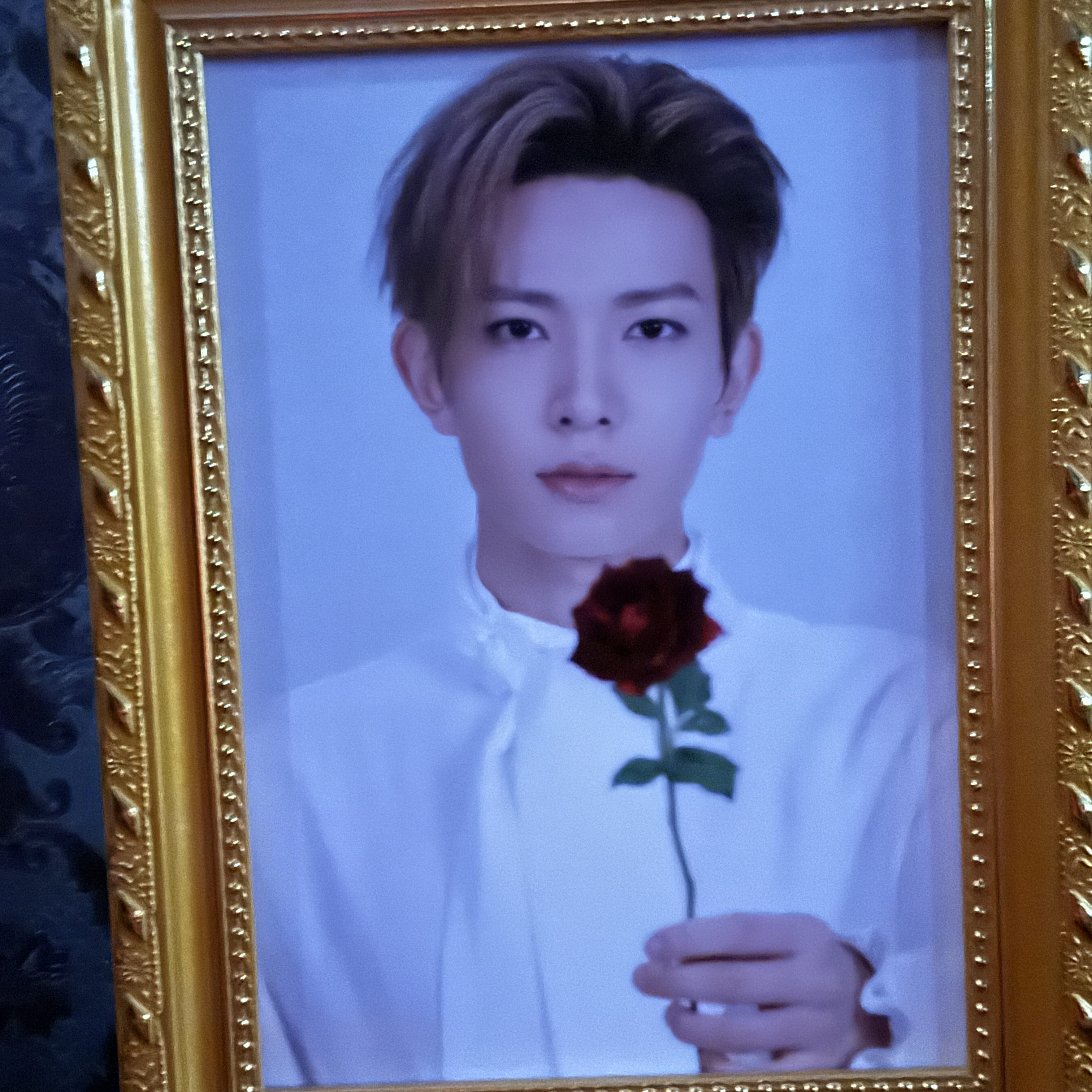 ENHYPEN의 비하인드 컷