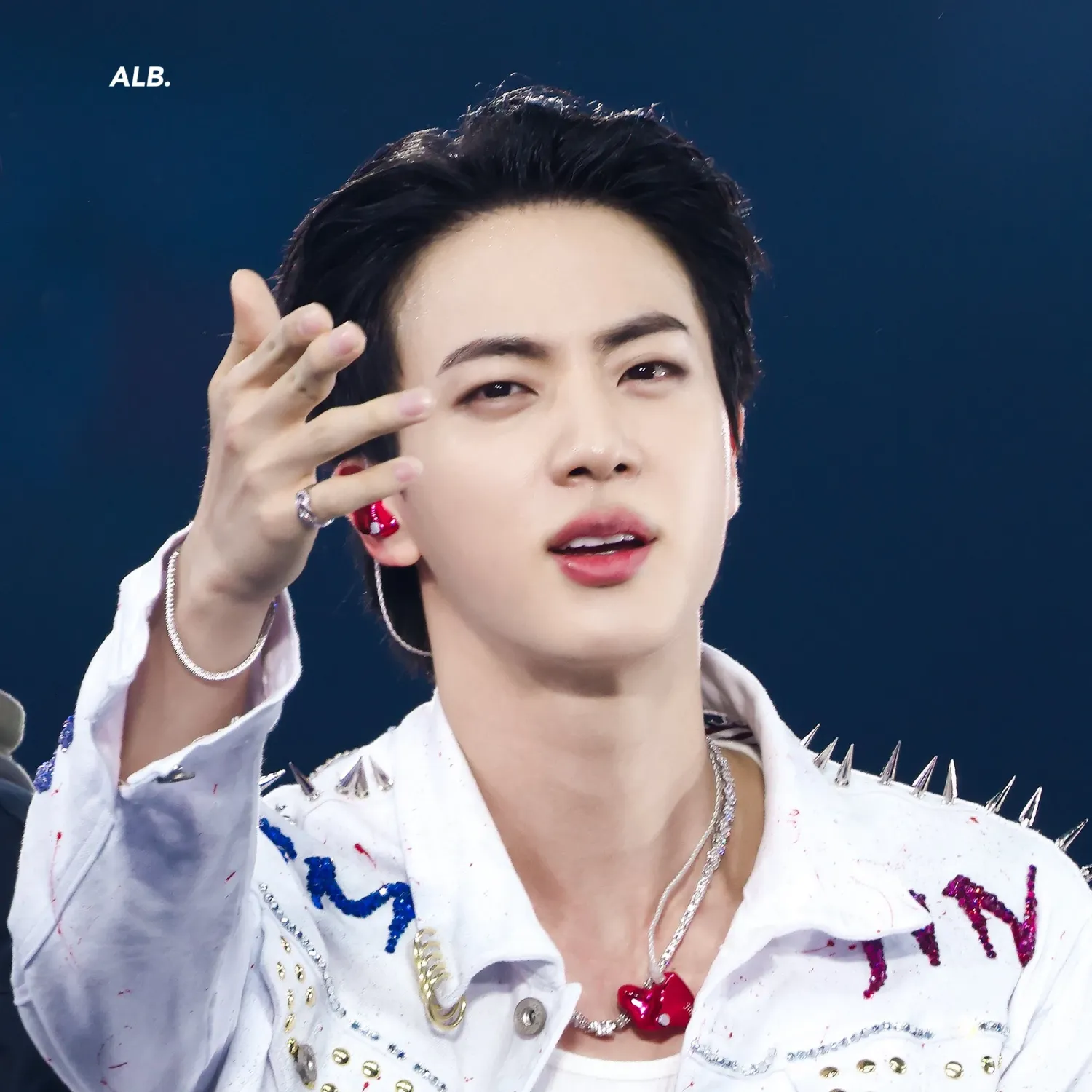 진 (방탄소년단) 팬이 찍은 순간