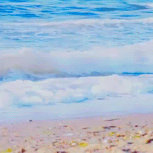 community_articles_contents