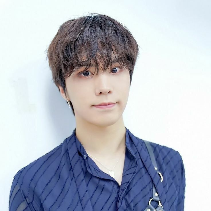 Latest photo of Rocky