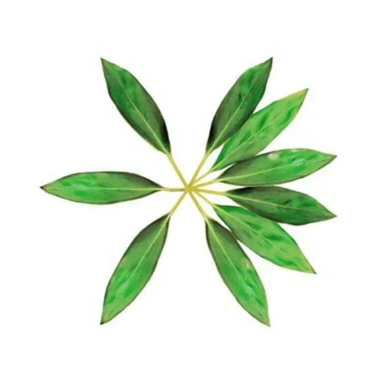 Behind-the-scenes cut of EXO