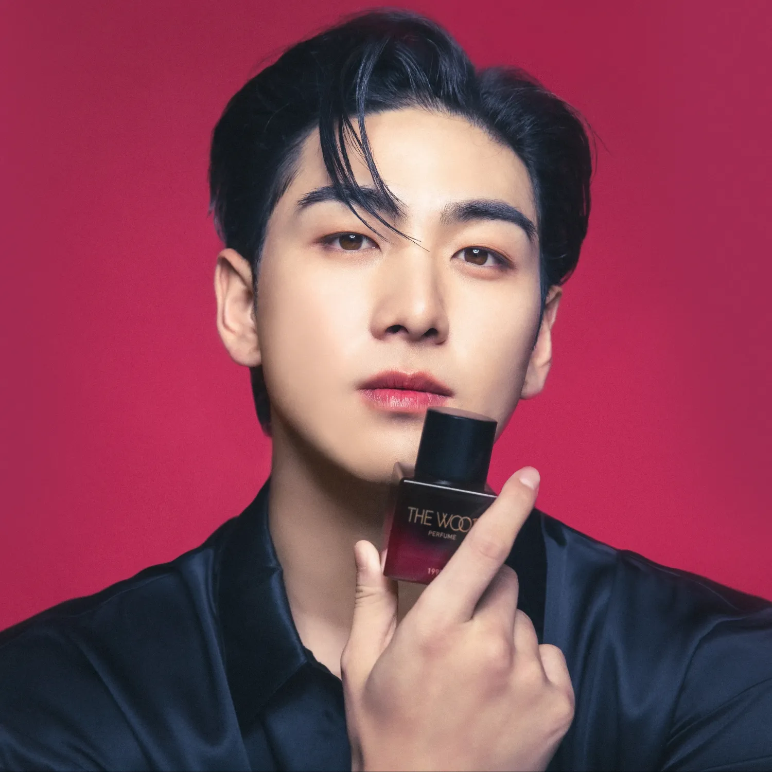 ベクホの最近の活動写真