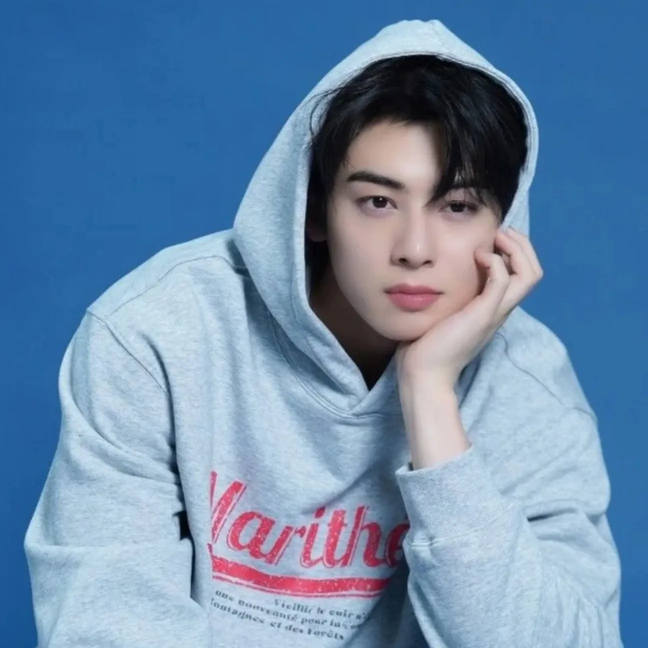A moment captured by Eunwoo (ASTRO)'s fan