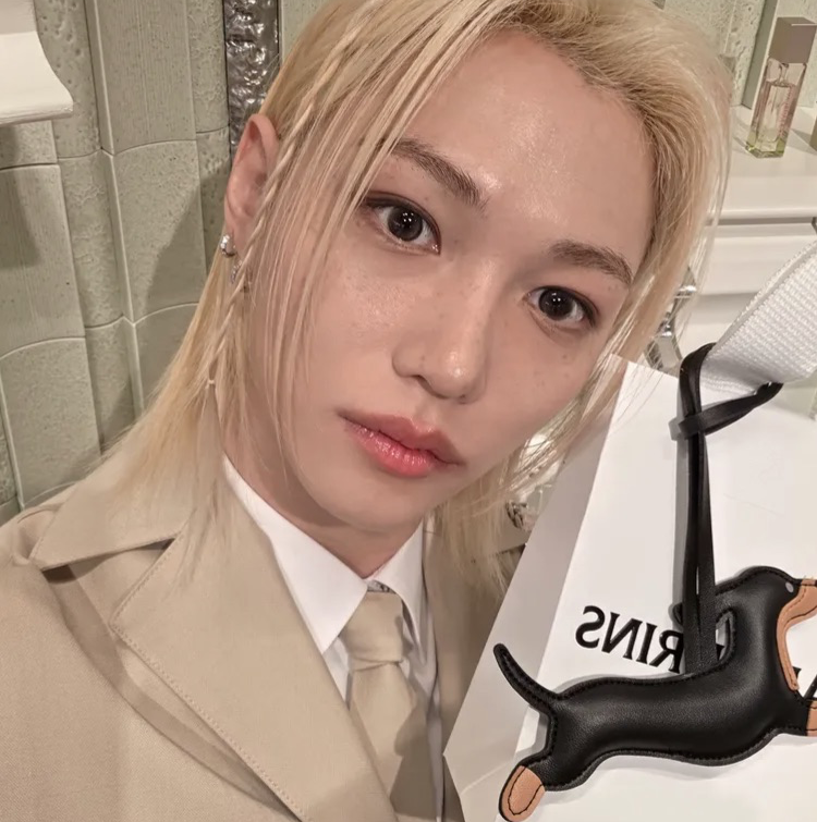 Stray Kids 팬이 찍은 순간