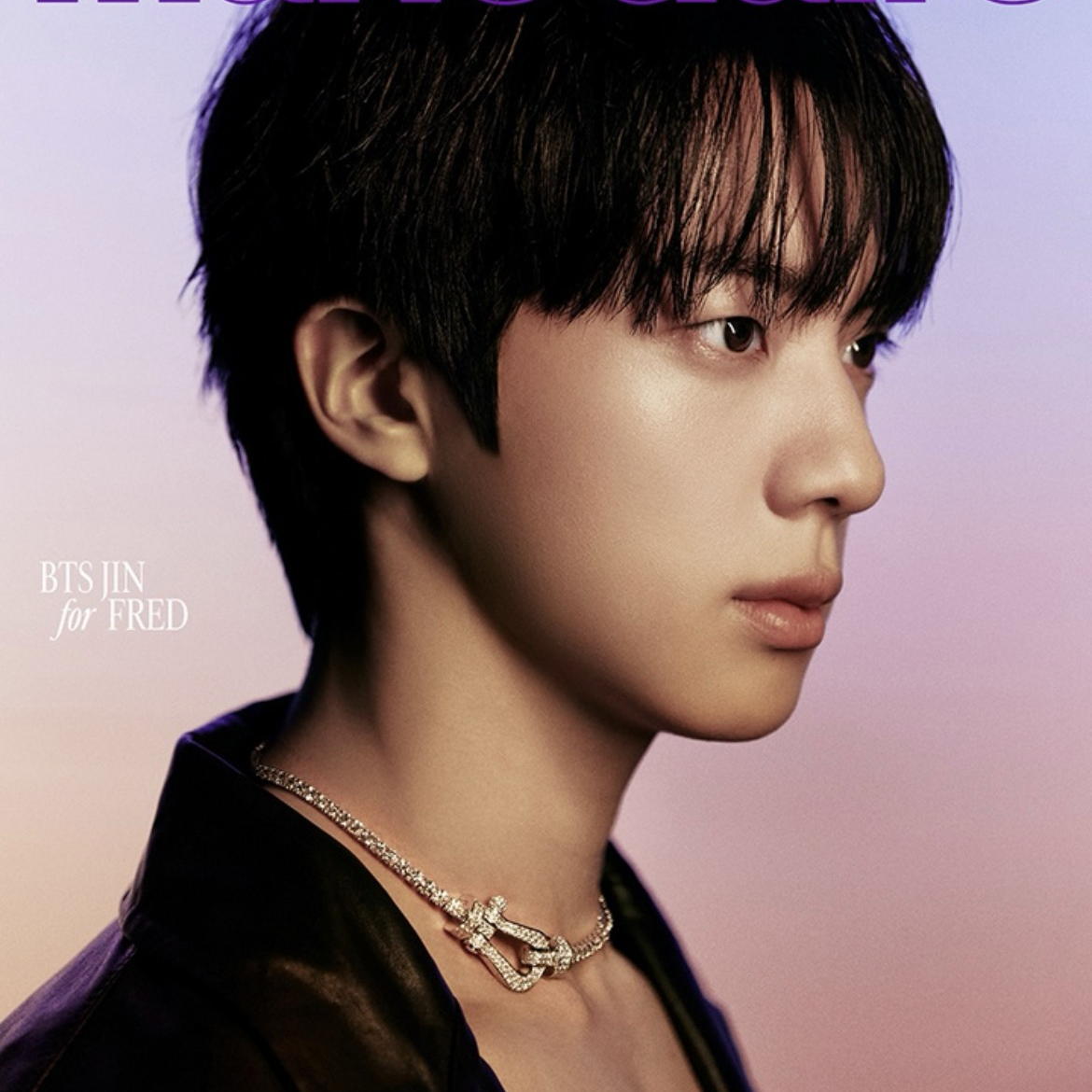 진 (방탄소년단) 팬이 찍은 순간