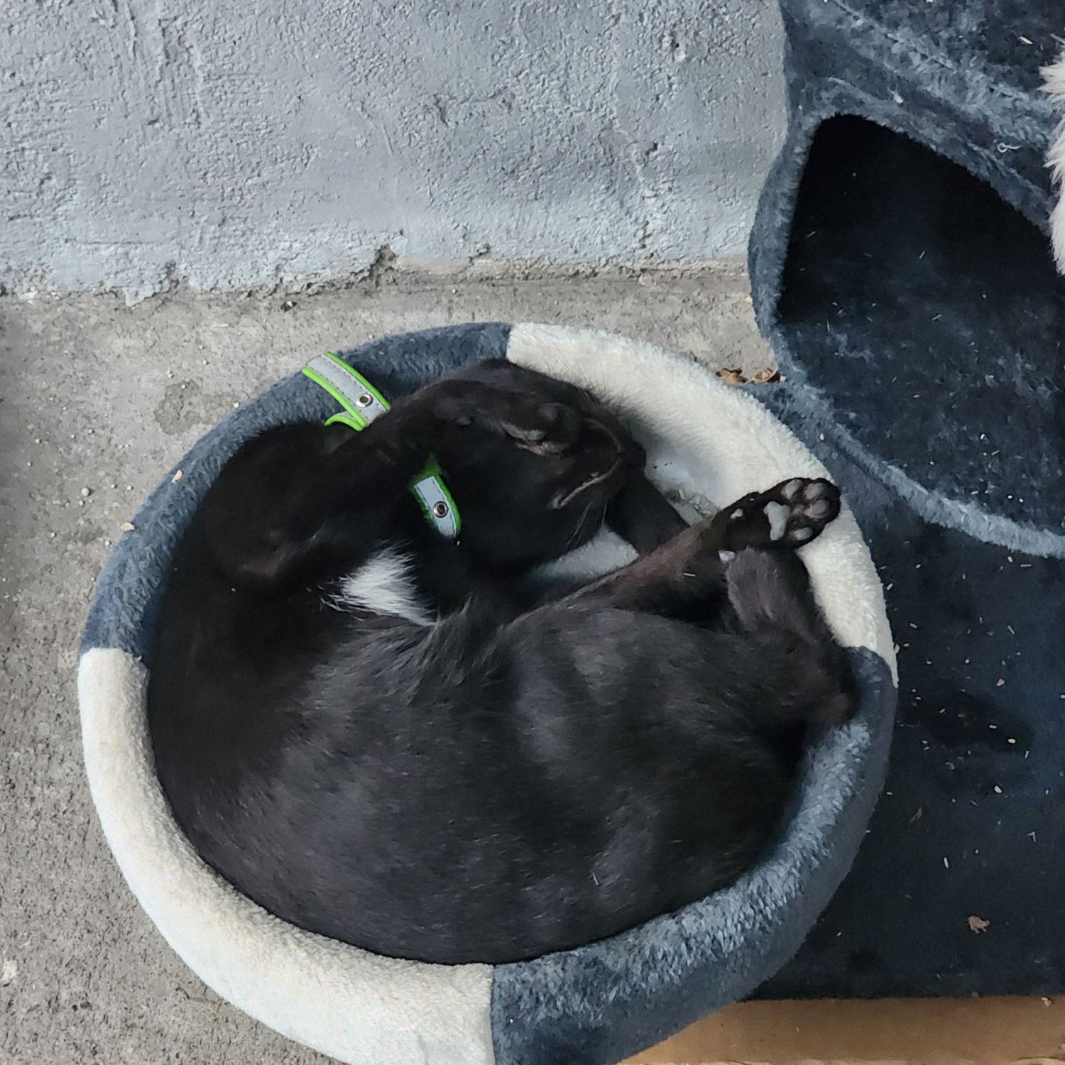 SEVENTEENファンが撮った瞬間