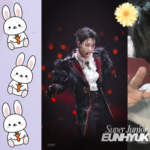 通過投票選出的銀赫 (Super Junior)人氣頭像