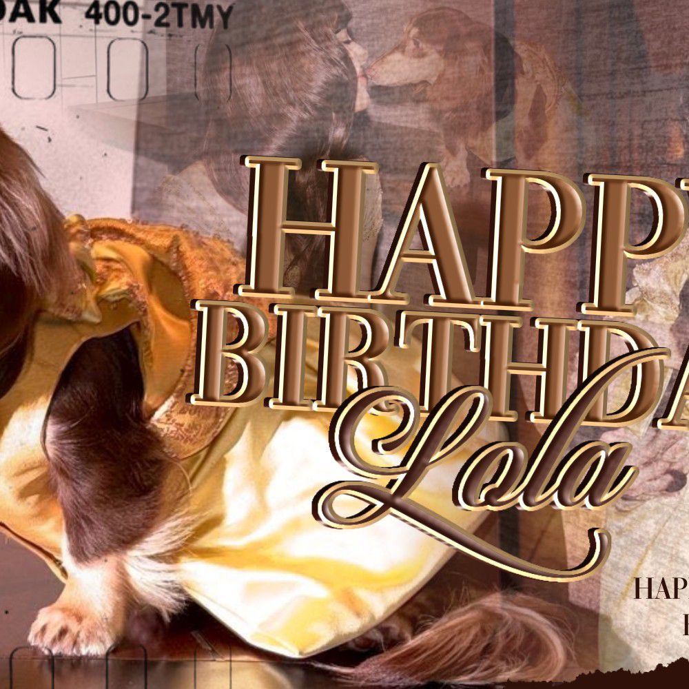 리사 (BLACKPINK) 최근 활동샷