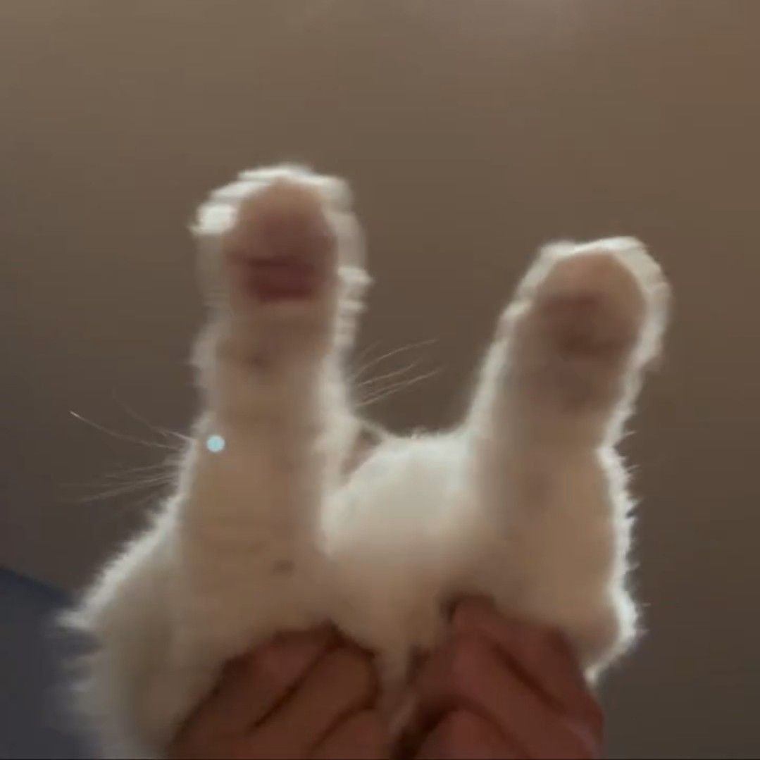 강다니엘의 비하인드 컷