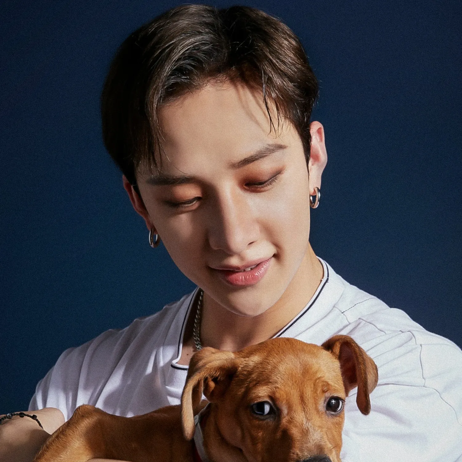 Recent activity shot of Bang Chan (Stray Kids)