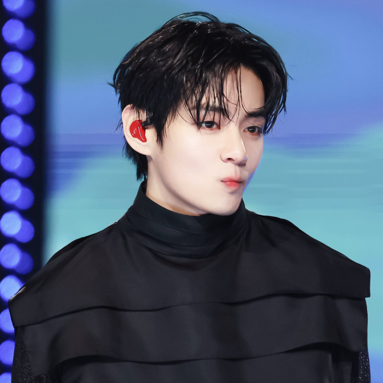 V (BTS)ファンが撮った瞬間