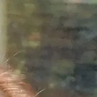 金佳蓝粉丝拍下的瞬间