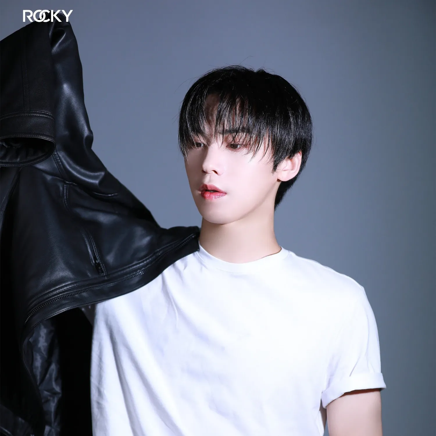Latest photo of Rocky