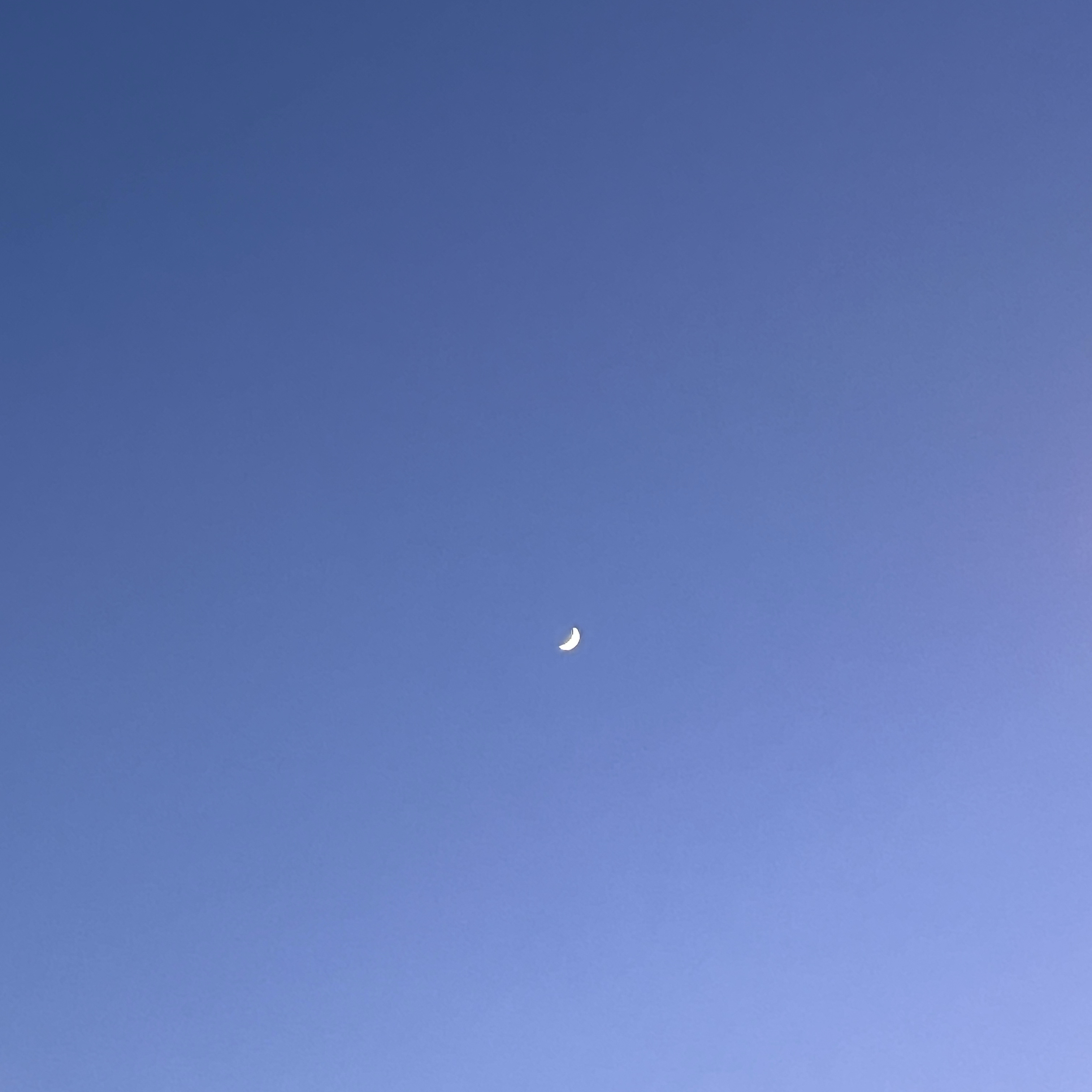 Recent activity shot of Moonbin (ASTRO)