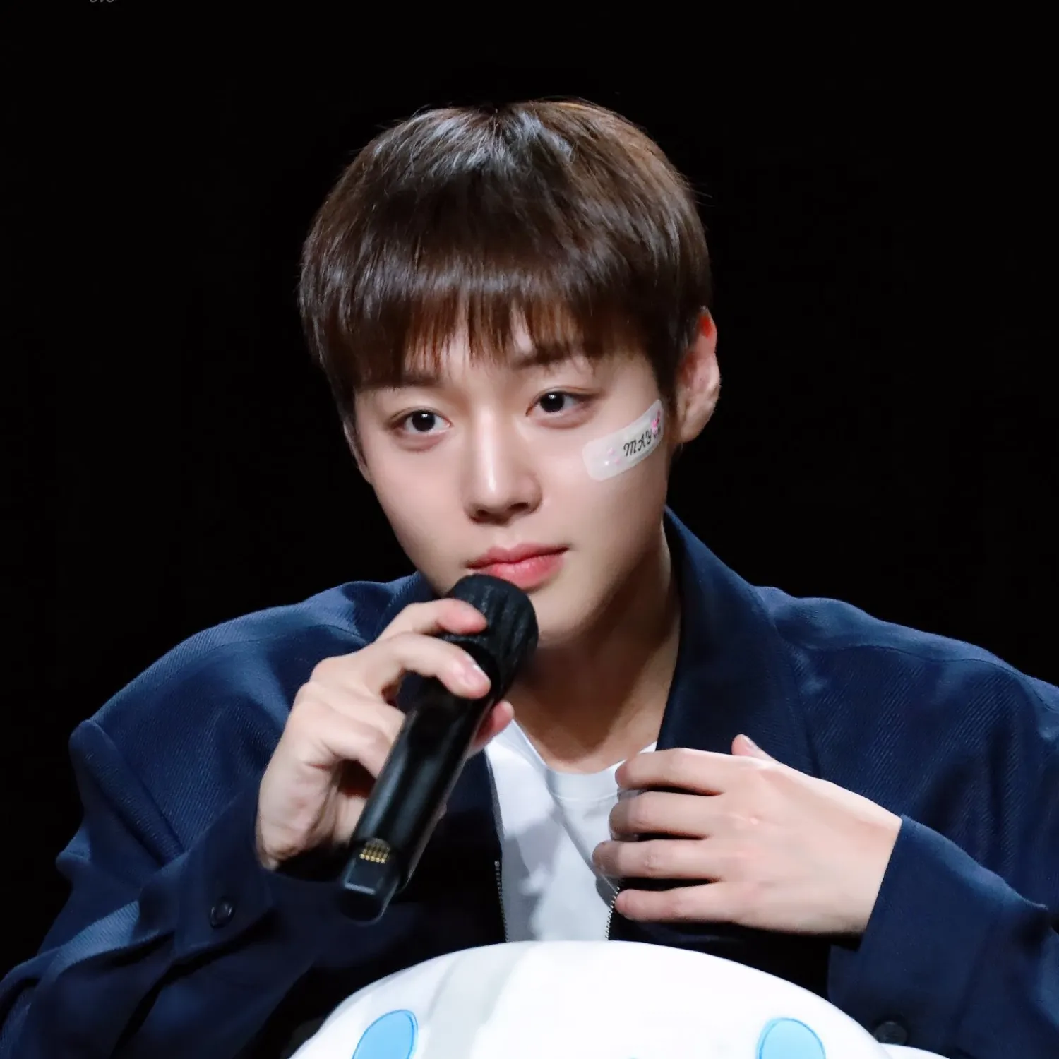 박지훈 팬이 찍은 순간