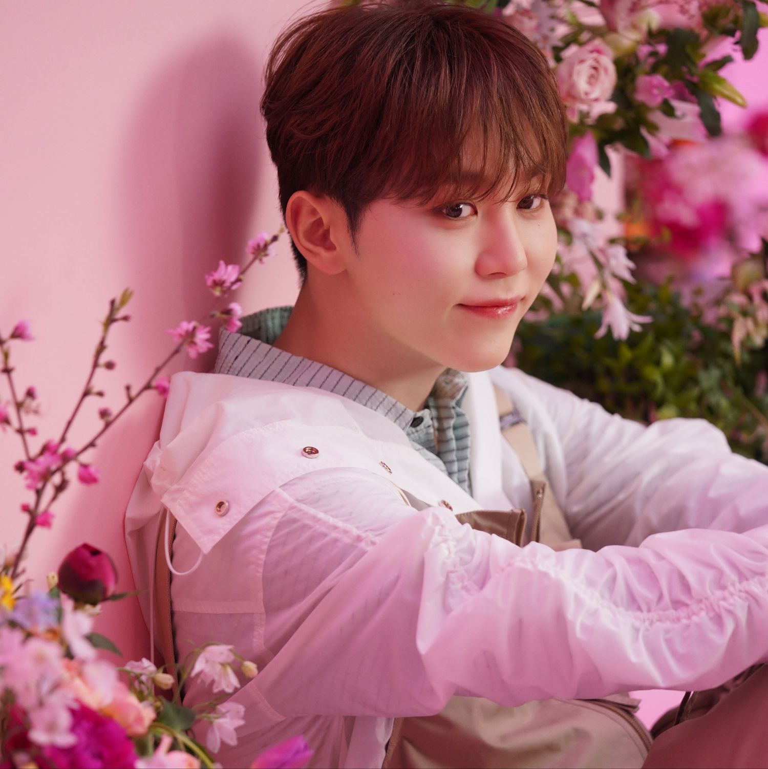 SEVENTEENの最新写真