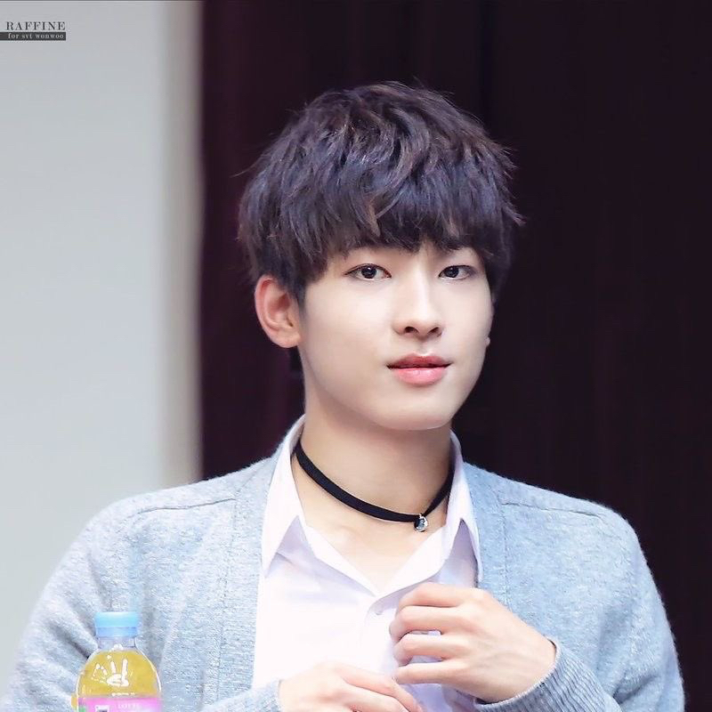 A moment captured by Wonwoo (SEVENTEEN)'s fan