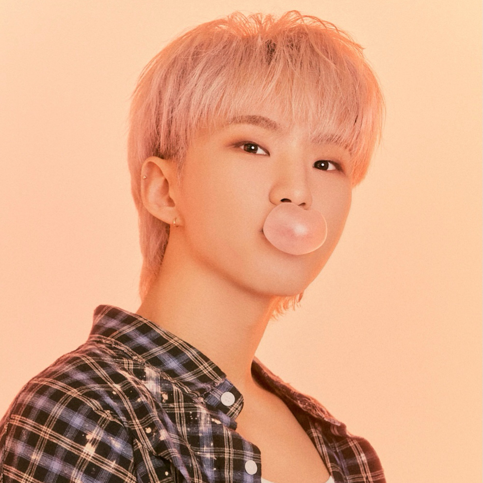 A moment captured by Hoshi (SEVENTEEN)'s fan