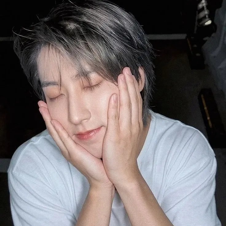 Potret di balik layar HAN (Stray Kids)
