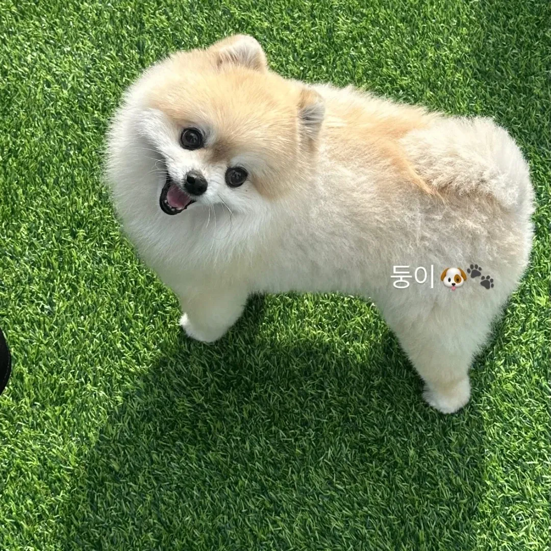 Behind-the-scenes cut of Hanbin (TEMPEST)