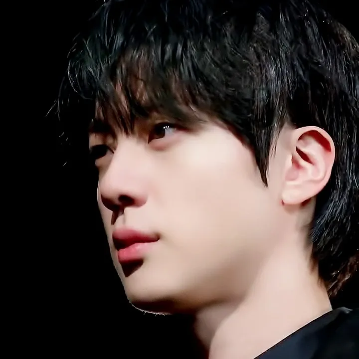 진 (방탄소년단) 팬이 찍은 순간