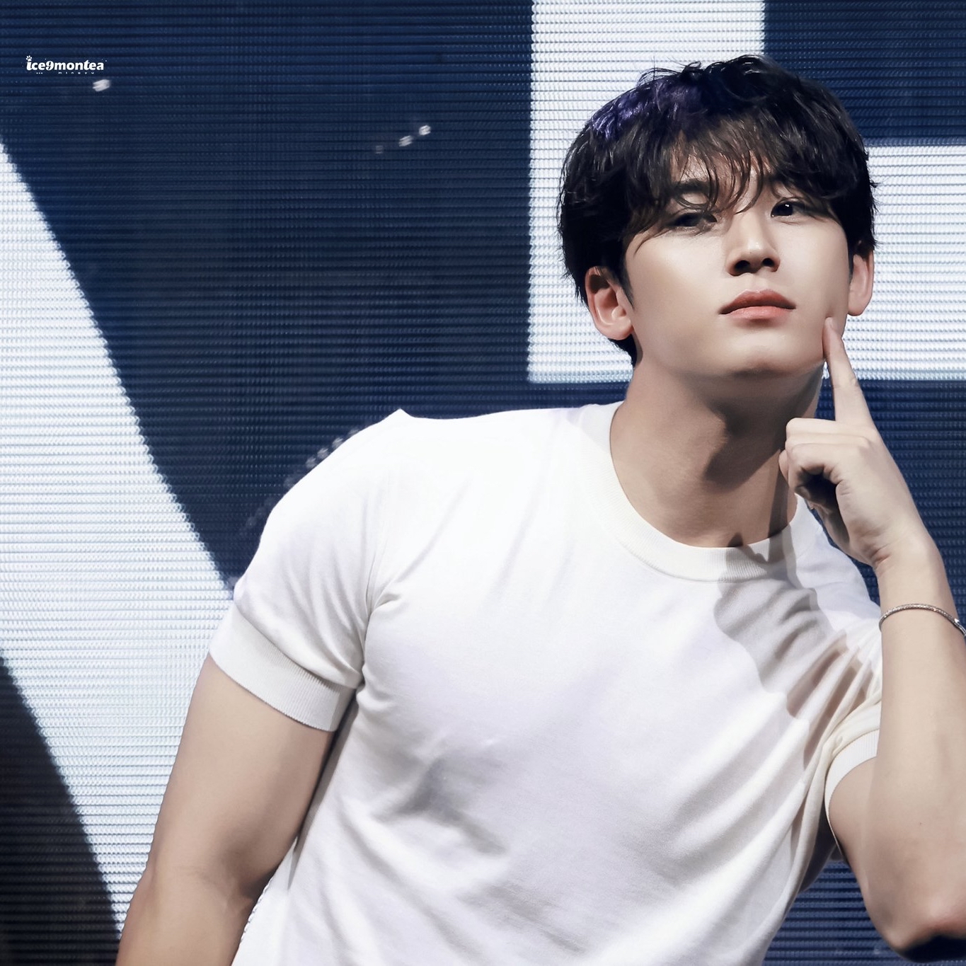 세븐틴의 최신 사진