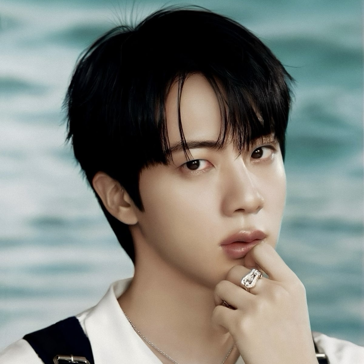 진 (방탄소년단) 팬이 찍은 순간