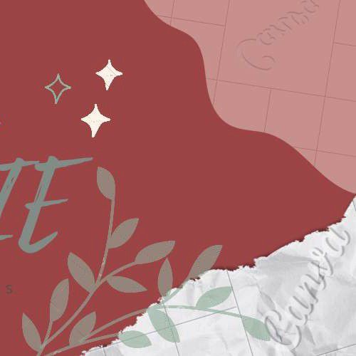 Latest photo of Bessie (Lapillus)