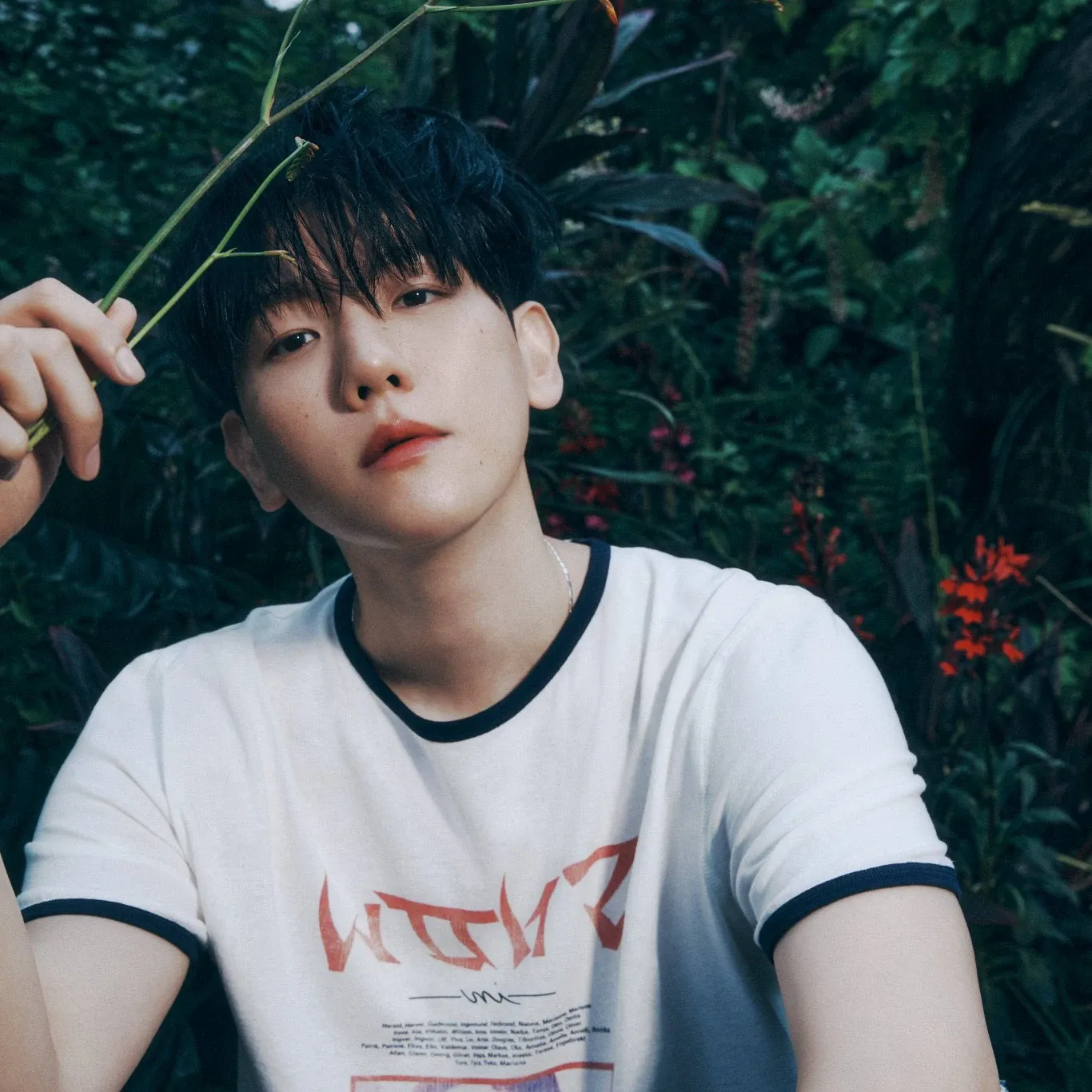 伯賢 (EXO)的最新照片