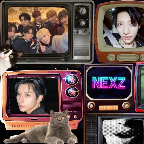 コミュニティで話題の人気アイドルコンテンツ