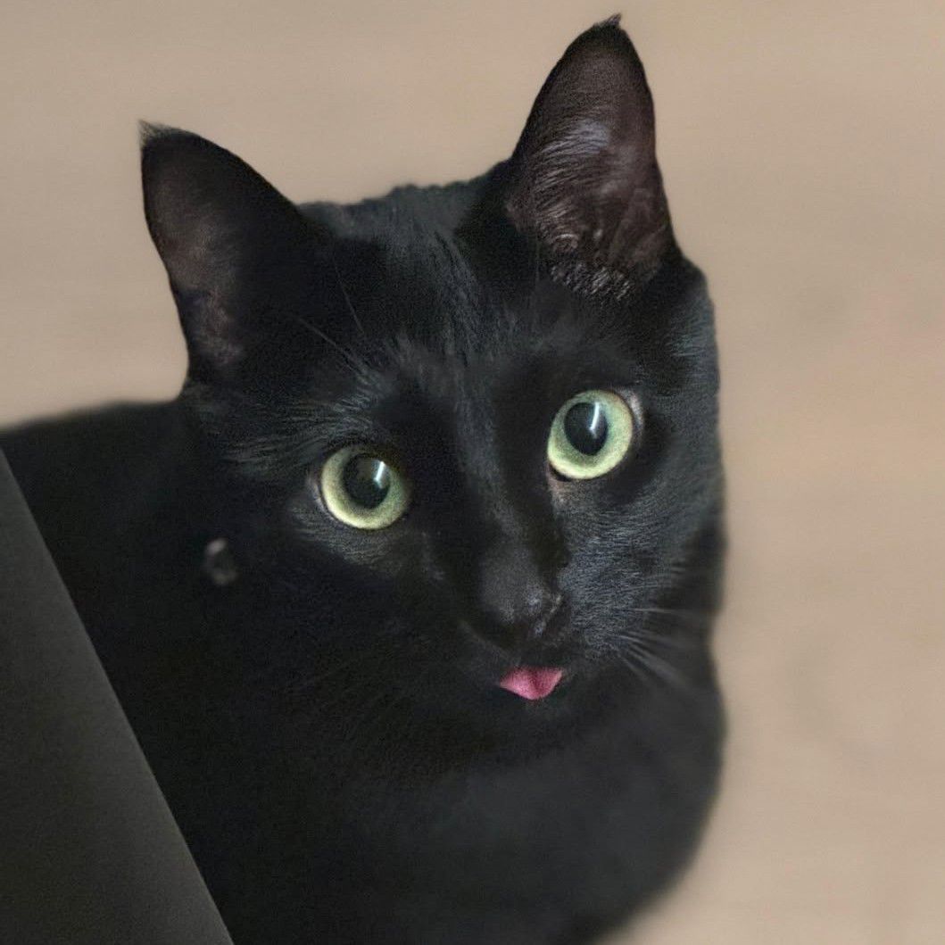 SUGA (BTS)ファンが撮った瞬間