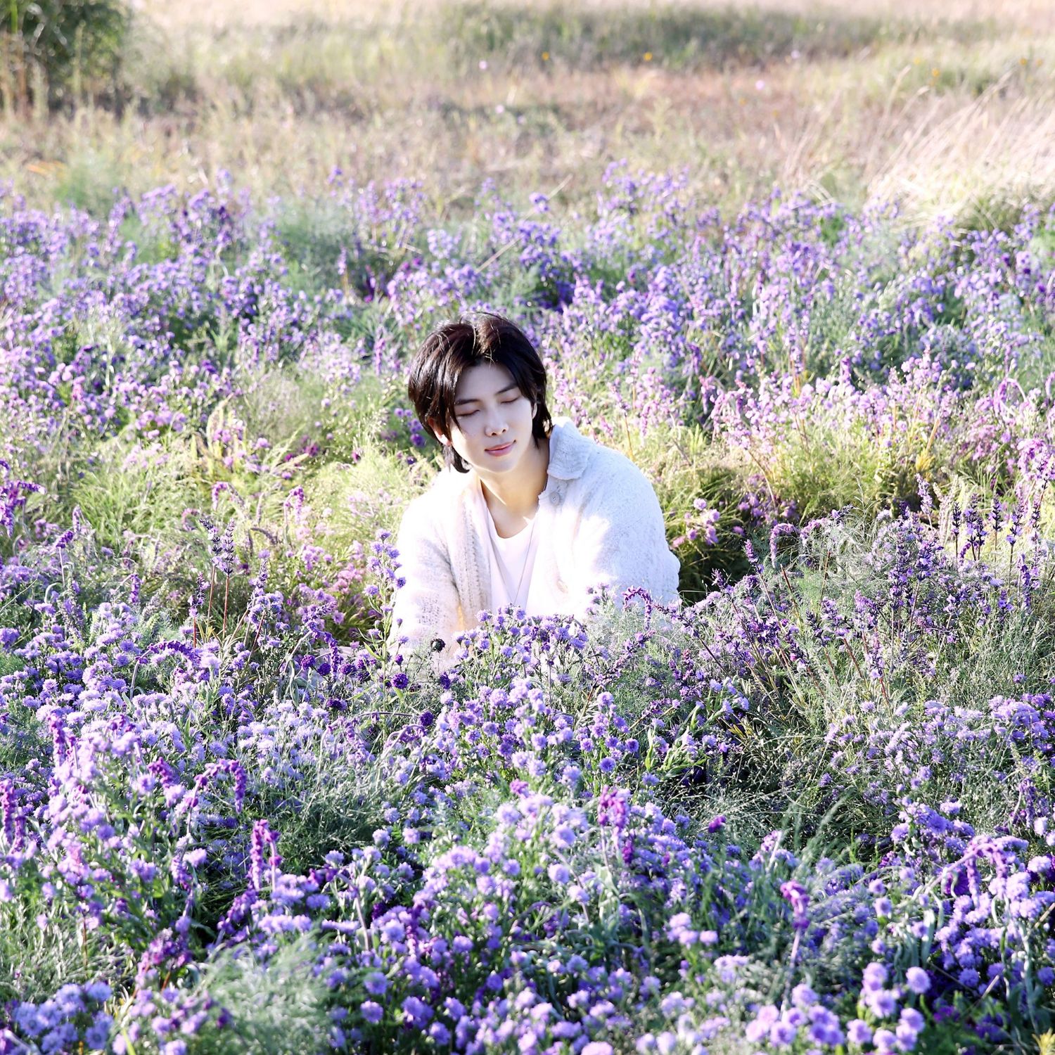 Momen yang diabadikan oleh penggemar RM (BTS)