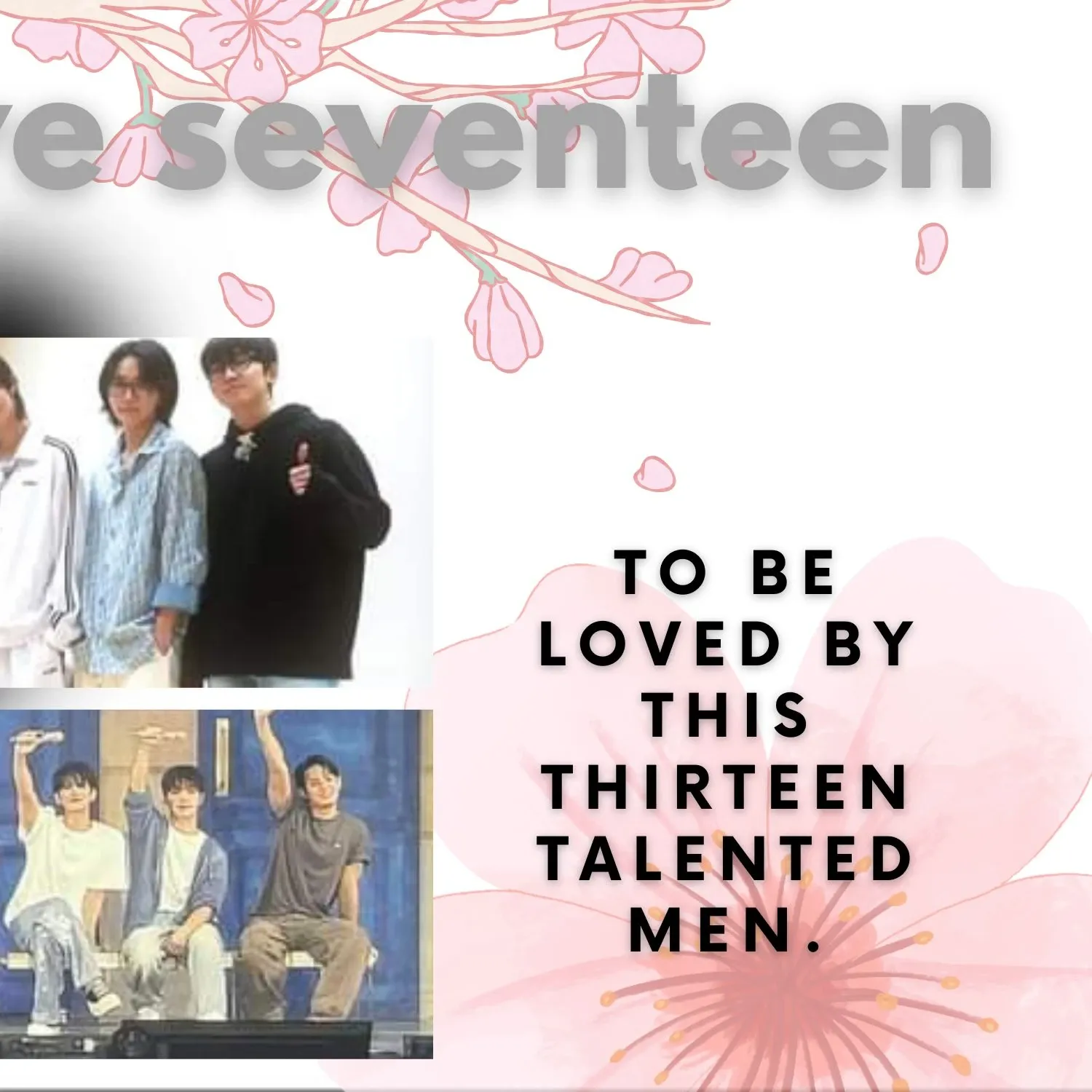 SEVENTEEN粉絲拍下的瞬間