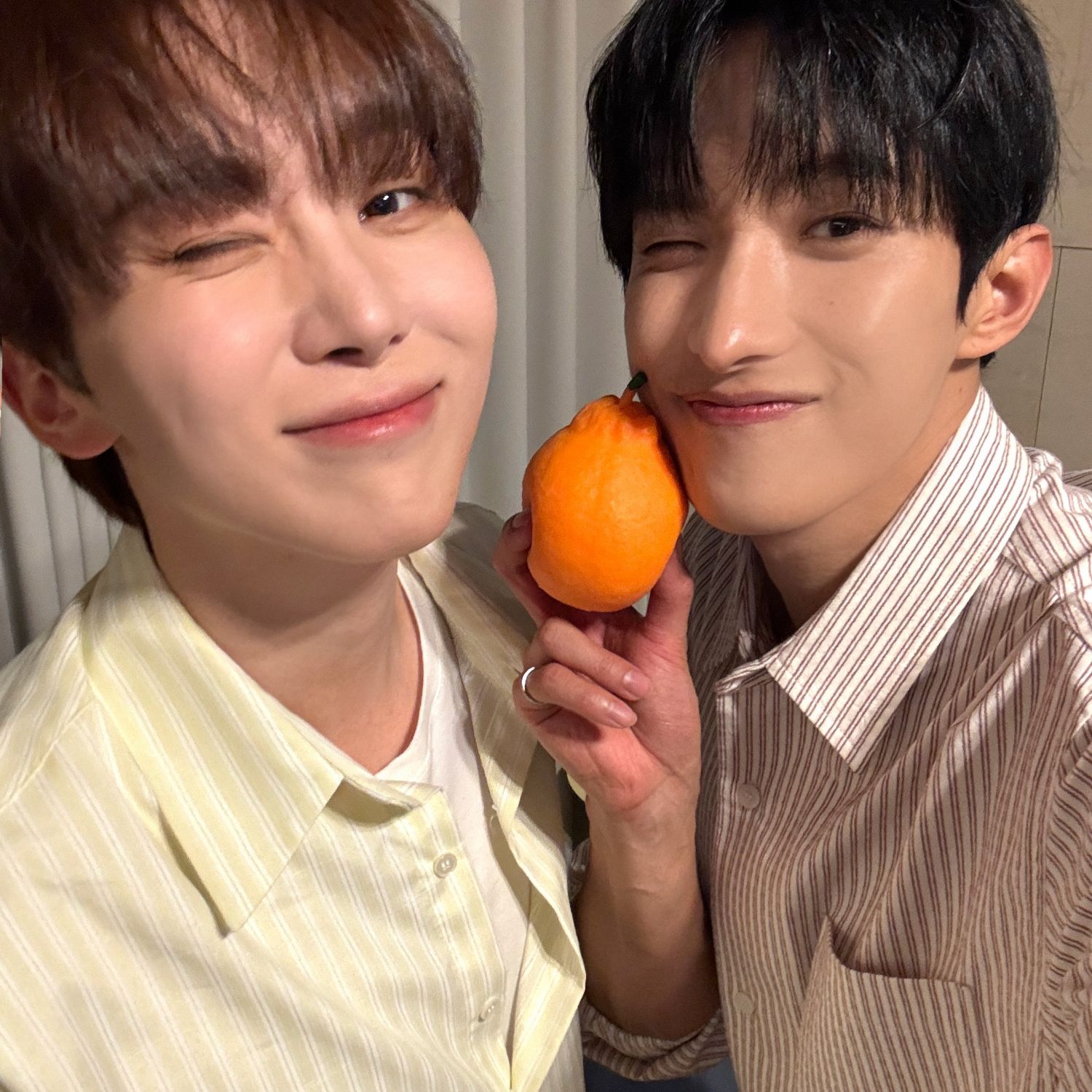 SEVENTEEN的最新活動照片